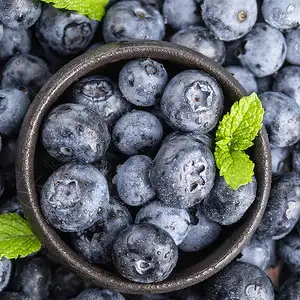 Fstsort sorting technology helps Namibia's blueberry industry take a step forward