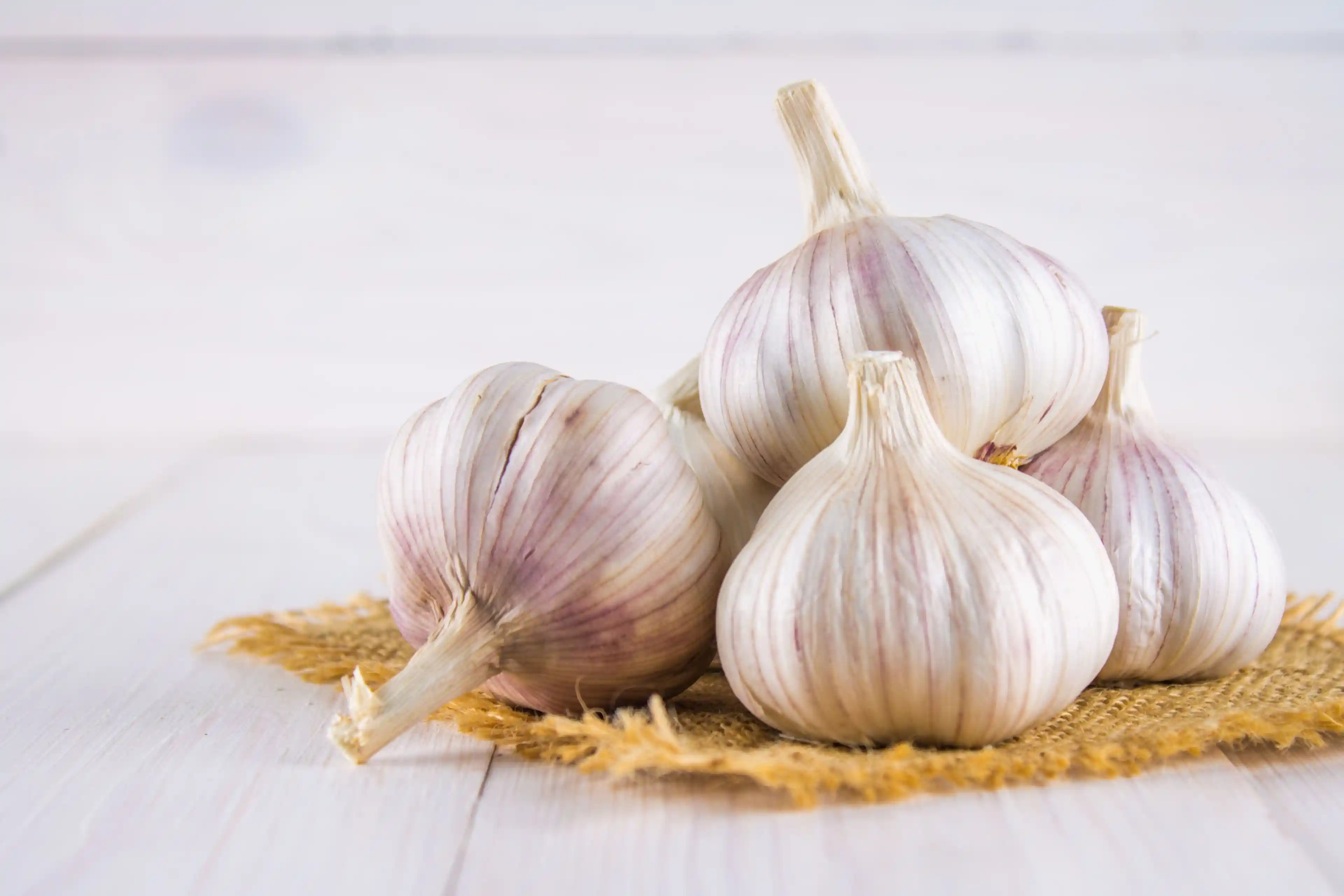 Garlic prices rising, with monthly exports hitting a seven-year high