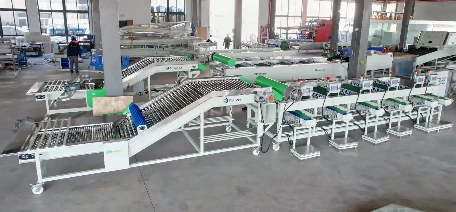 Garlic sorting machine for Egypt exporter