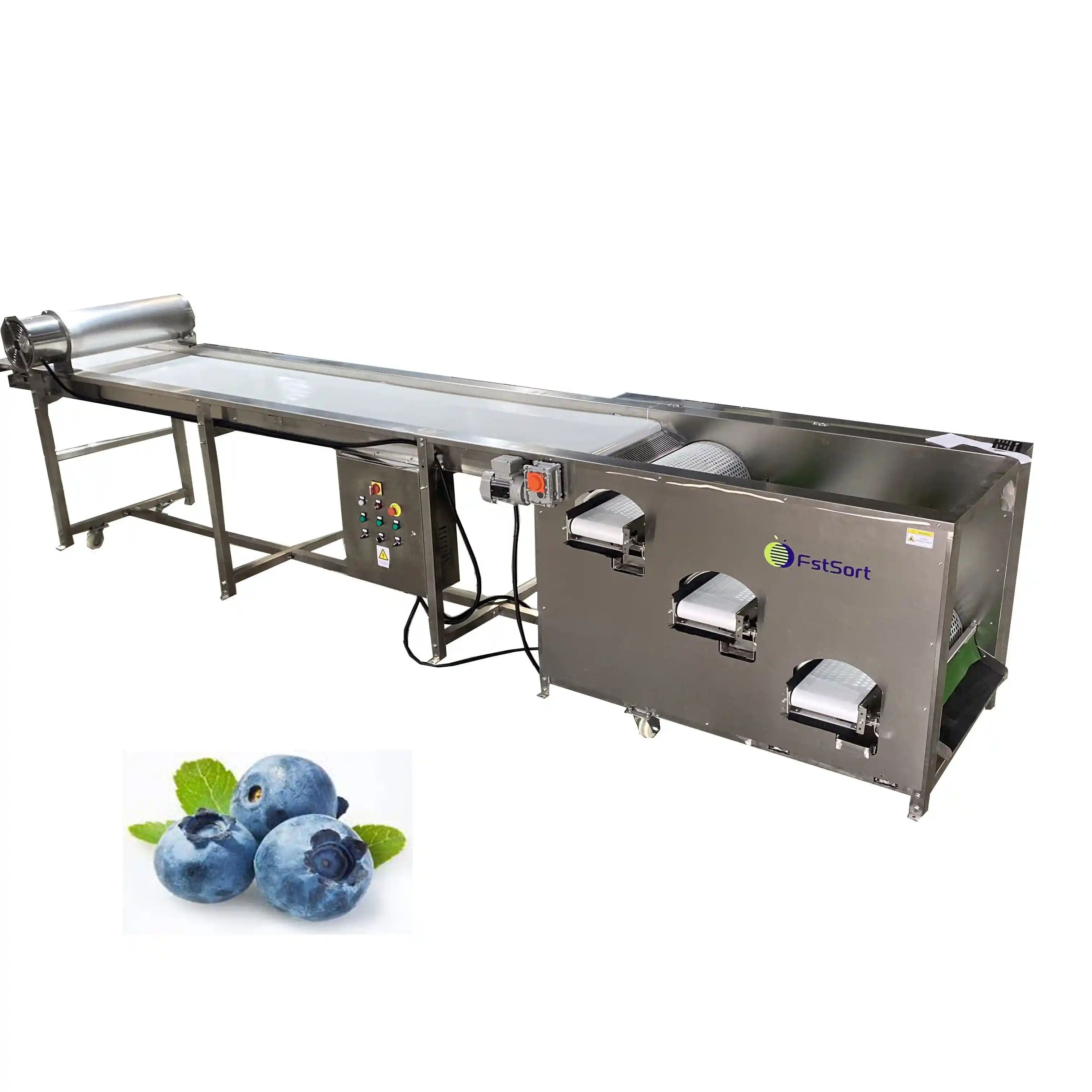 Grader,a good ally for blueberry sorting