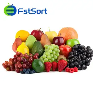 grading sorting machines for orange, mandarin, citrus, peach