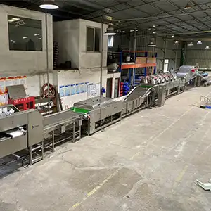 Gran línea de procesamiento de límon para el cliente mexicano
