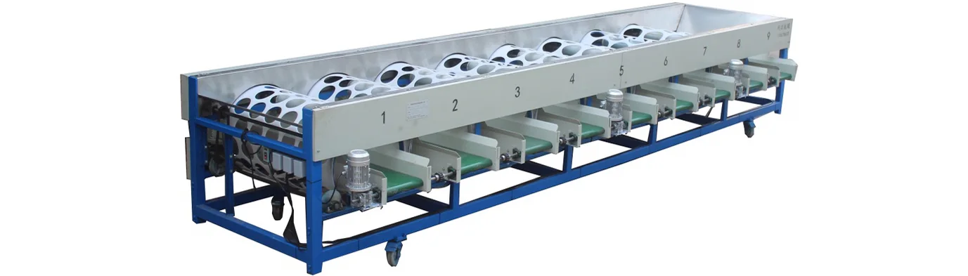 Grapefruit Grading Machine - Drum Grader by FstSort