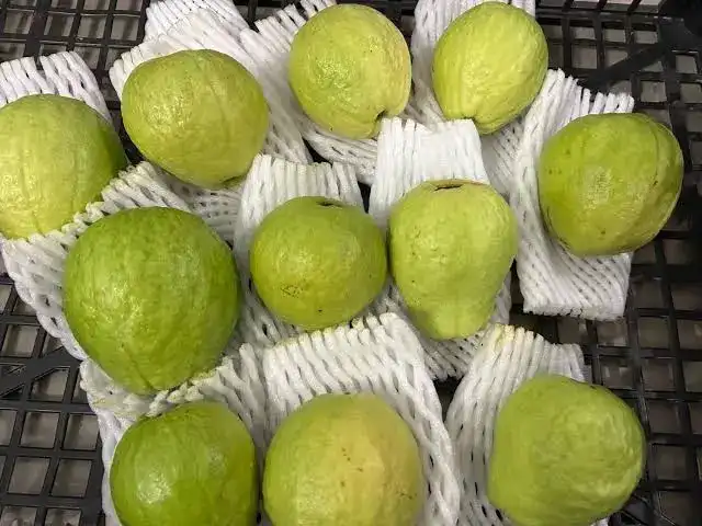 Guava Weight Sorter