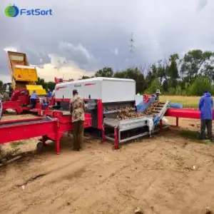High-Accuracy AI Potato Sorting Machine for Maximum Efficiency