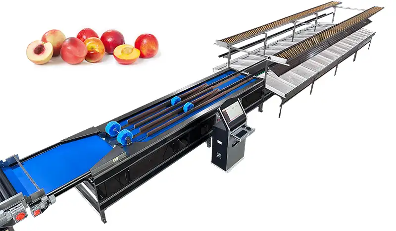 High-Efficiency Peach Grading Machine
