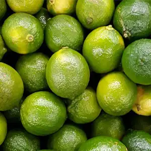 Highly cost effective lime sorting machine