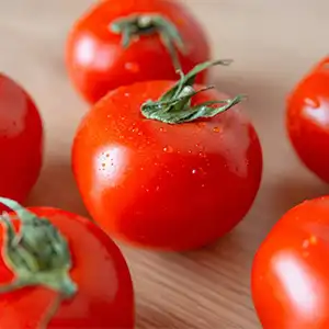 How do tomato exporters choose suitable sorting equipment
