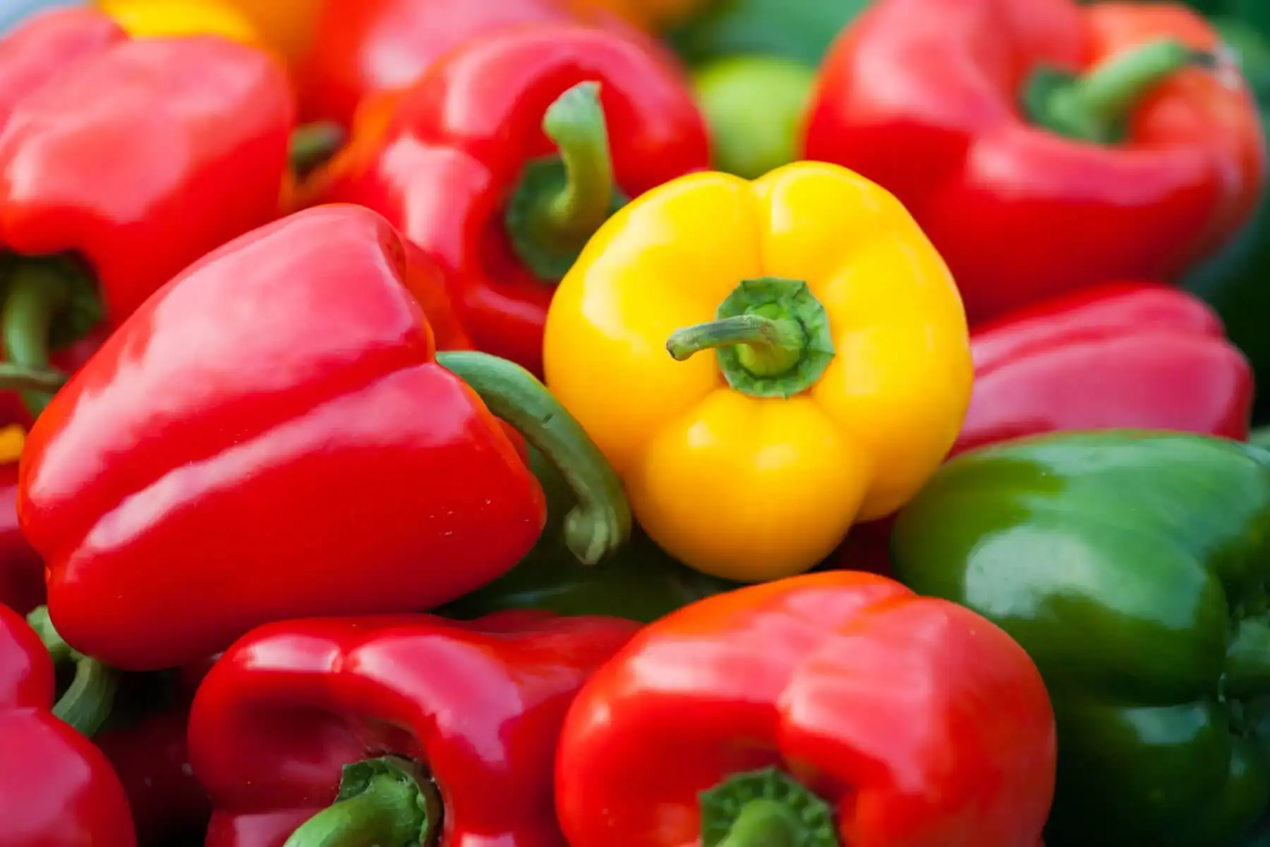 How to choose sorting equipment for Tunisian peppers