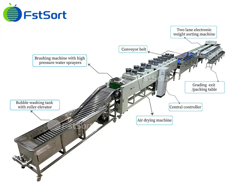 How to choose the apple sorting machine