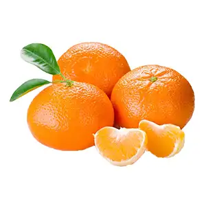 How to use tangerine cleaning waxing drying and grading machine