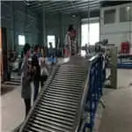 Indonesian client came to inspect mangosteen sorting machine