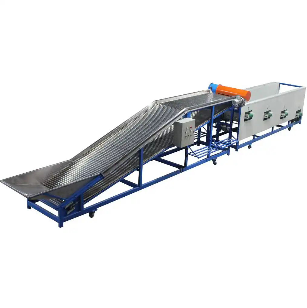 Italian customer and saffron corms grading machine