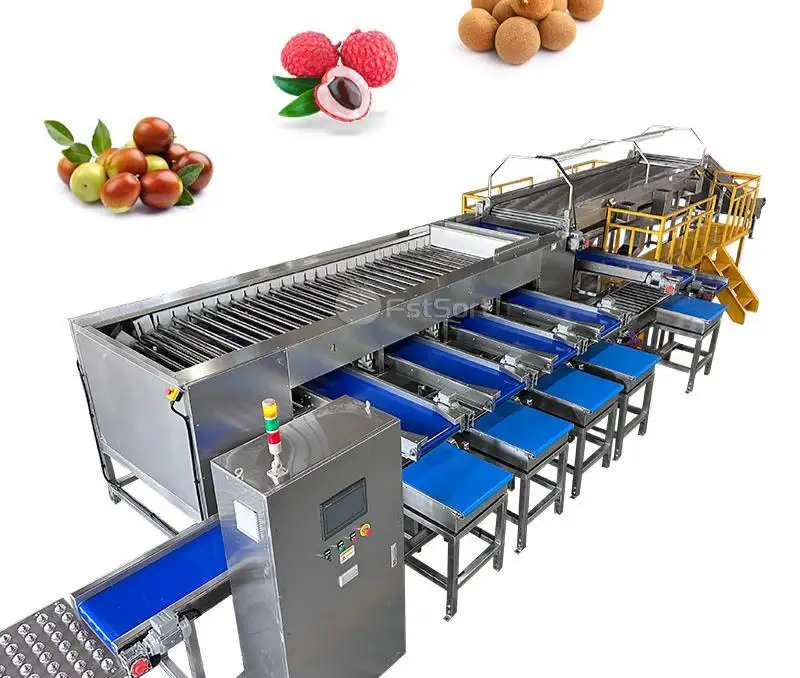 Jujube Grading & Packing Line | Roller Grader with Box Fill & Weigh System – Most Popular Configuration