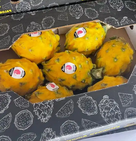 ¡La fruta kirin ecuatoriana pronto se exportará a China con arancel cero!