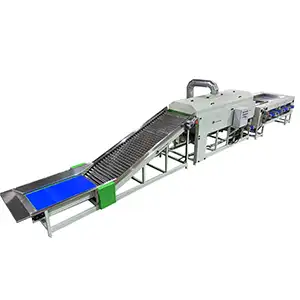 La máquina clasificadora de patatas con limpieza seca