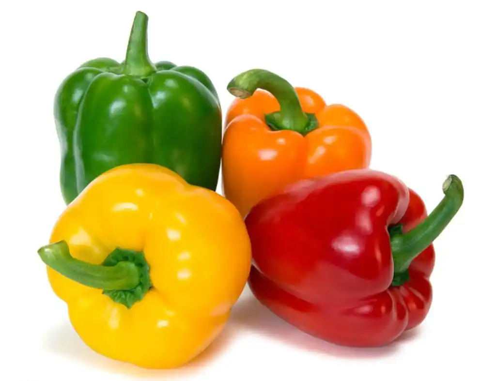 línea de procesamiento de pimiento