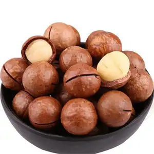 Loading of macadamia sorting machine