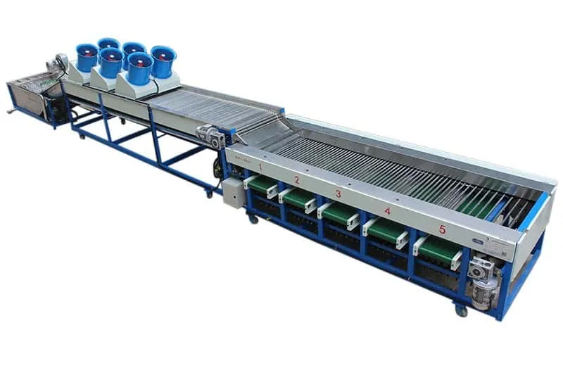 Logan Cherry Tomato Grading Machine - Roller Grader by FstSort