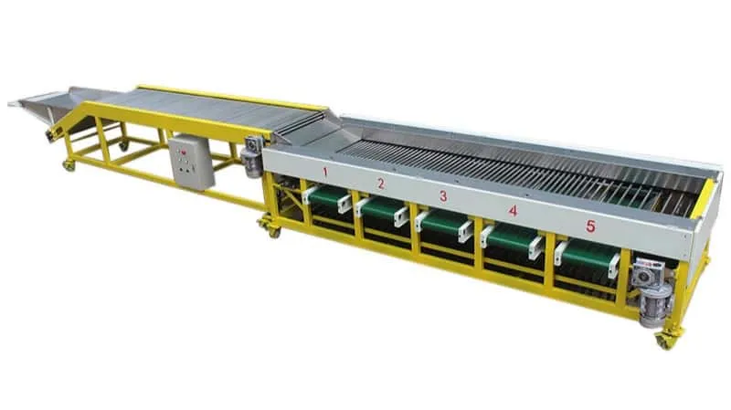 Longan Grading Machine - Roller Grader by FstSort