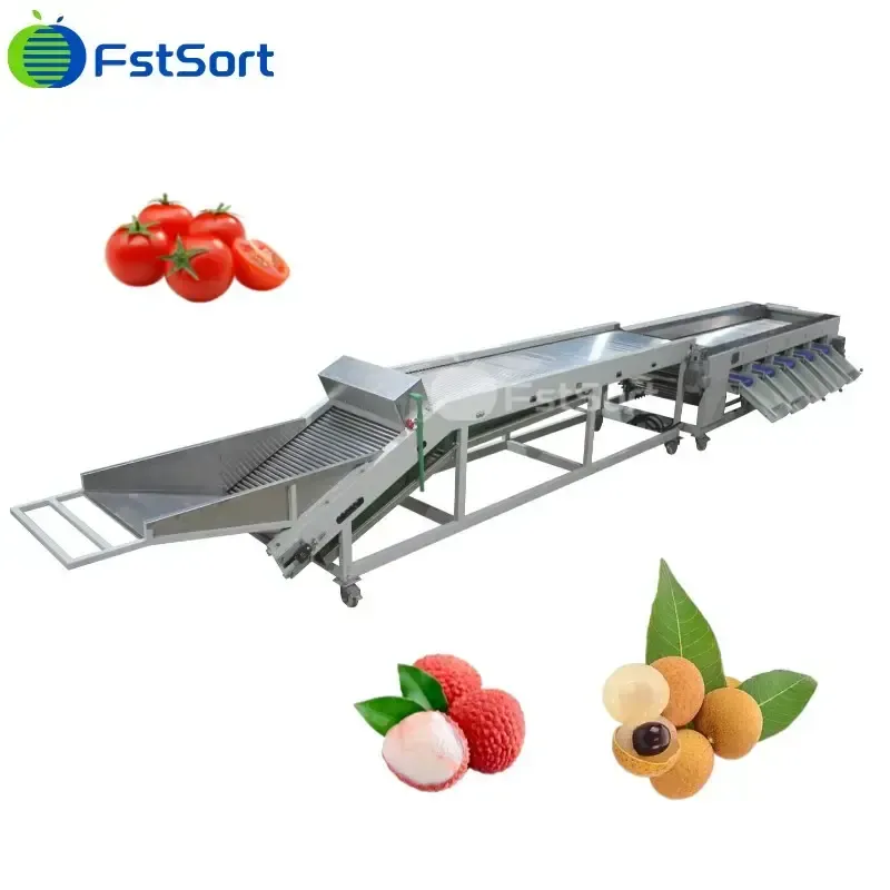 Longan Grading Machine