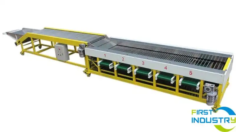 longan grading machine longan grading machine