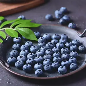 Lüshun blueberries export