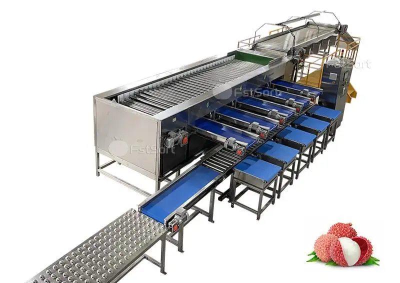Litchi Grading & Packing Line | Roller Grader with Optional Automatic Box Filling - Roller Grader by FstSort