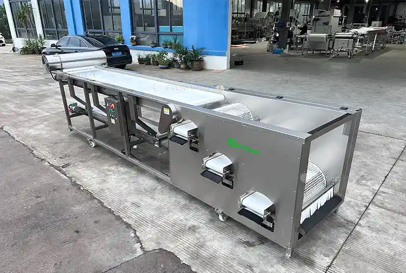 Machine sorted blueberries by size