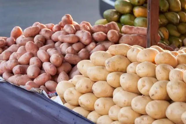 Machines to sort potatoes