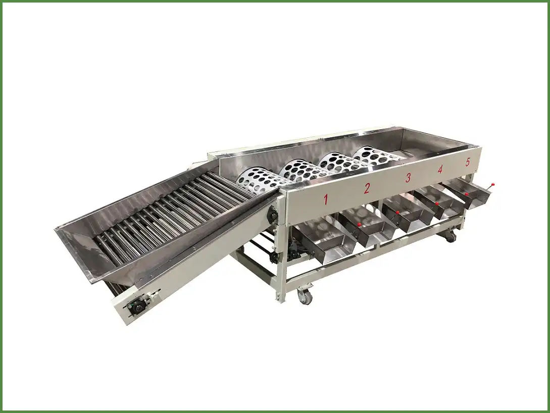 Mandarin grading machine
