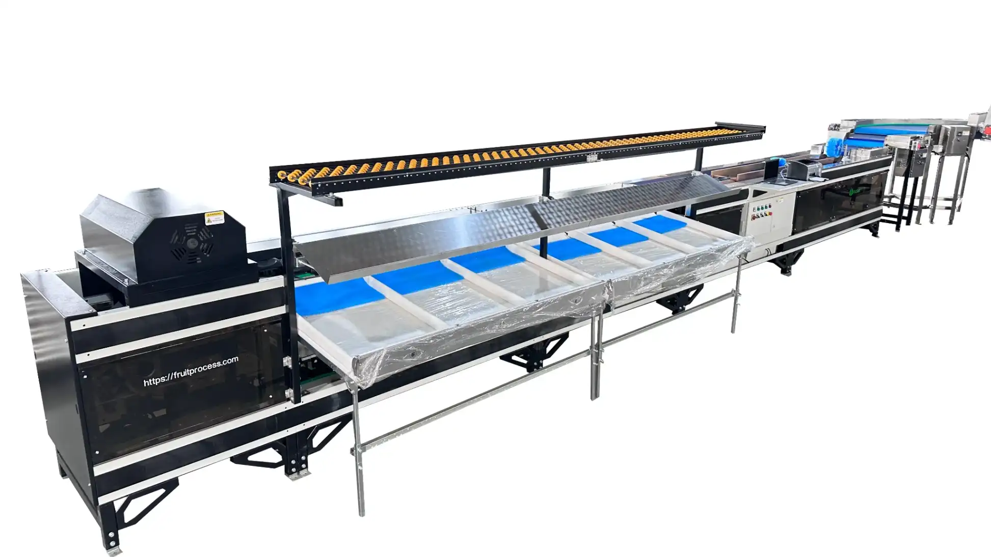 Mango Grading Machine - Fruit Processing Line by FstSort