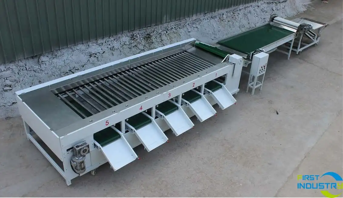 Mangosteen cleaning and drying machinery Mangosteen cleaning and drying machinery