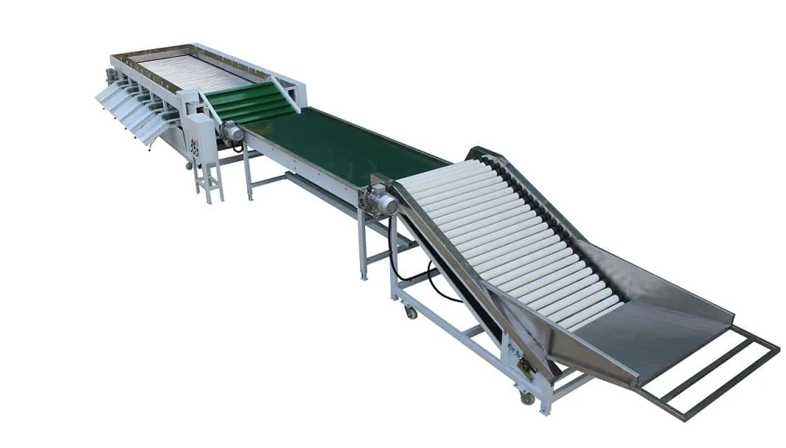 Mangosteen Cleaning Sorting Machine - Roller Grader by FstSort