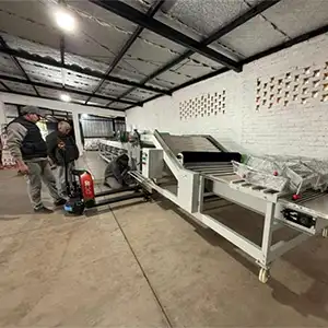 Máquina clasificadora de ajos fue adquirida nuevamente por clientes argentinos