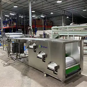 Máquina clasificadora de arándanos a Chile