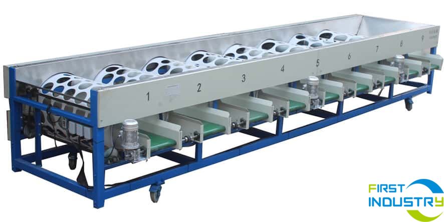 Máquina clasificadora de pomelo