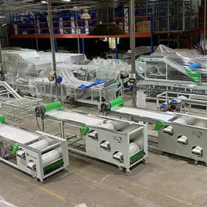 Máquina de clasificación de arándanos