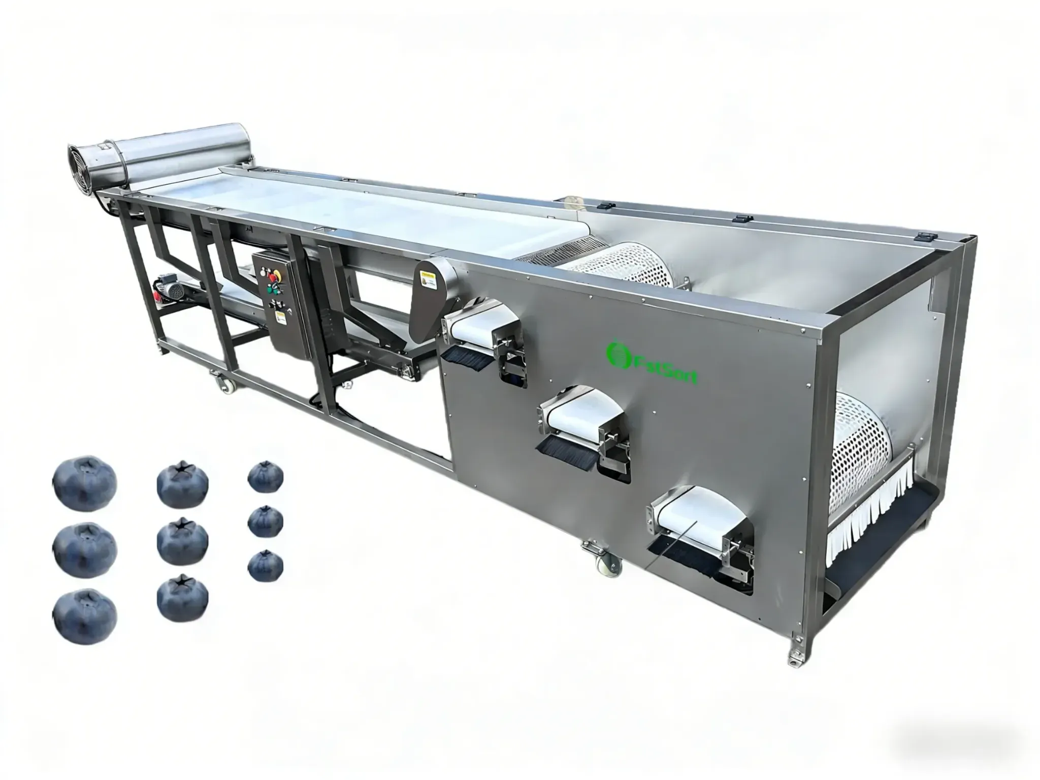 Máquina de Clasificación de Arándanos