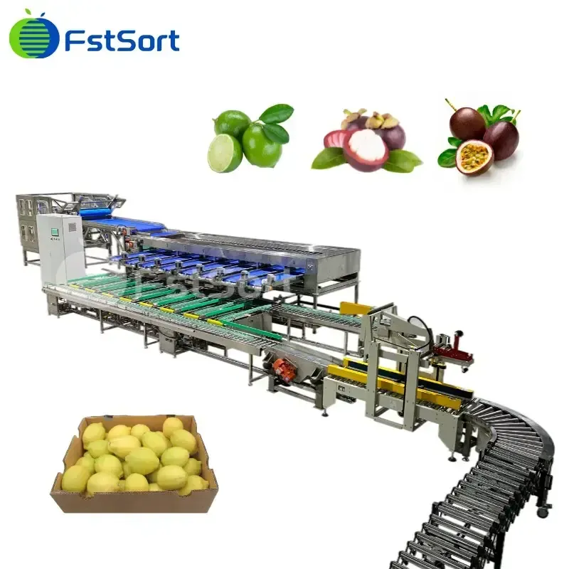 Máquina de Clasificación de Fruta de la Pasión