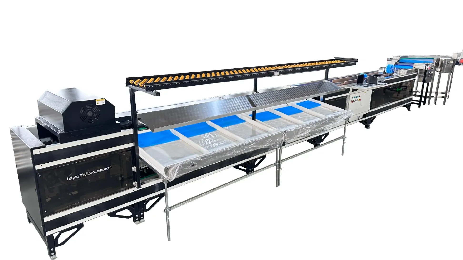 Máquina clasificadora de mangos por peso