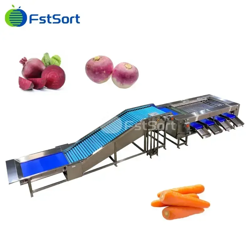 Máquina de Clasificación de Zanahorias