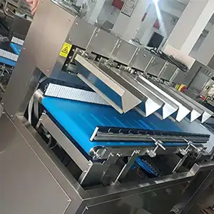 Máquina empacadora de verduras