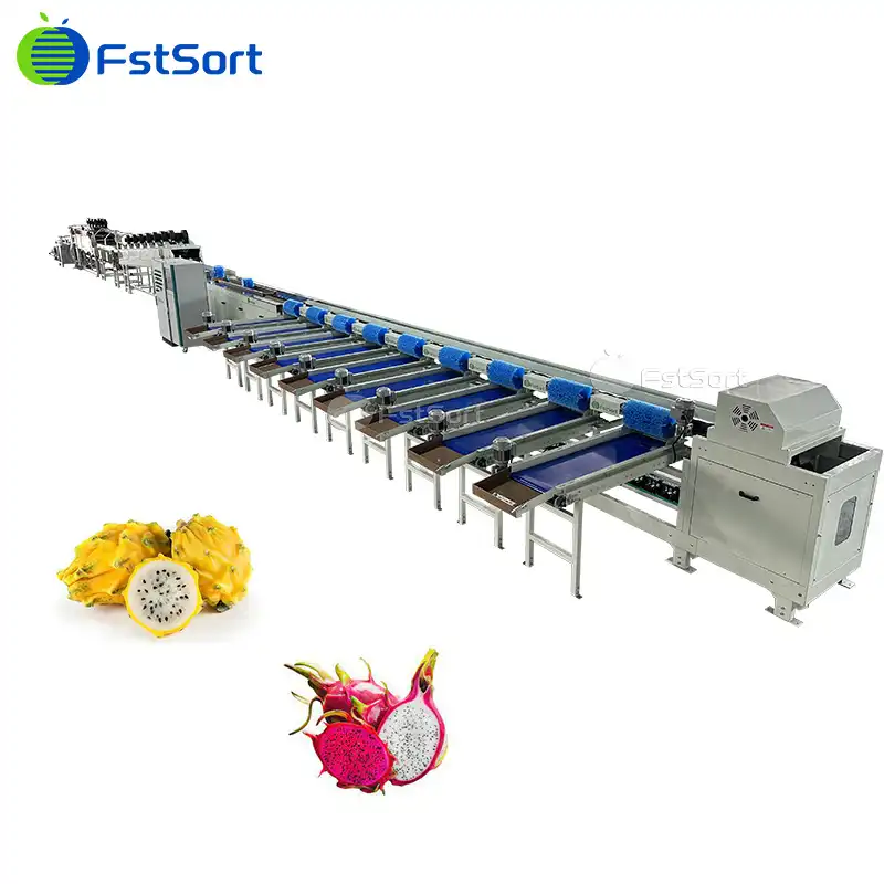 Maximizing Yield During Dragon Fruit Season