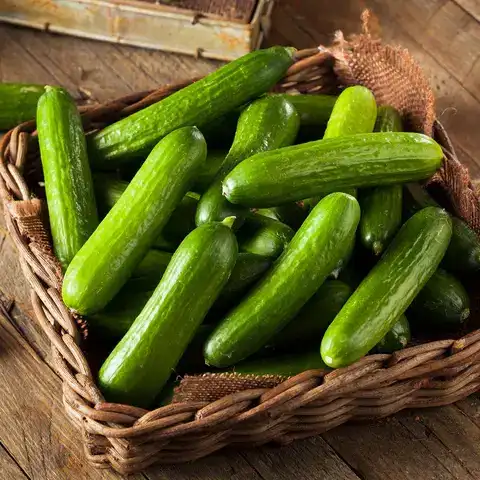 Mini cucumbers grading machine