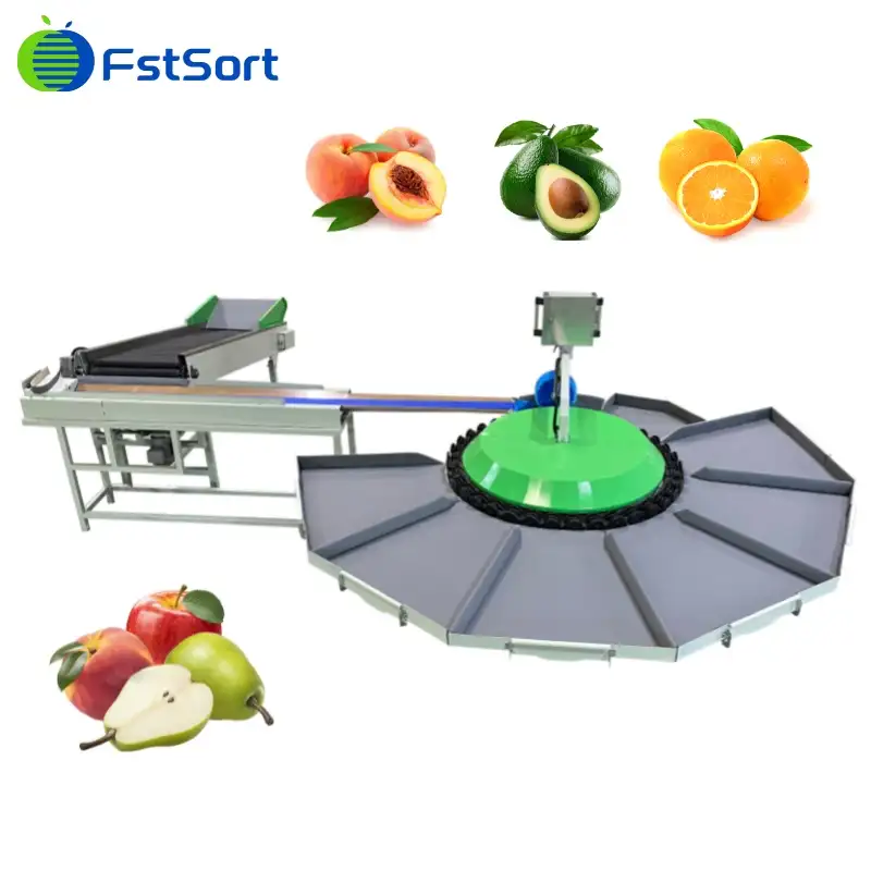 mini grading machine for various fruits