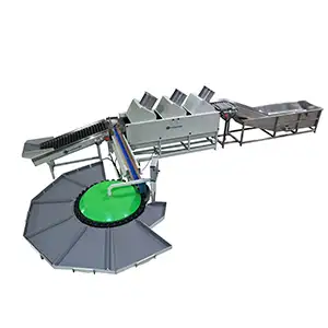 Multi-functional fruit washing and grading machine