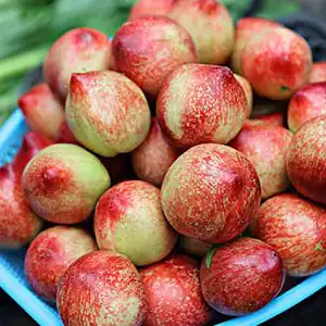 Nectarine sizer