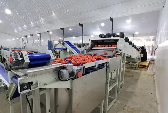 Nuestra máquina funciona bien en la fábrica de nuestro cliente