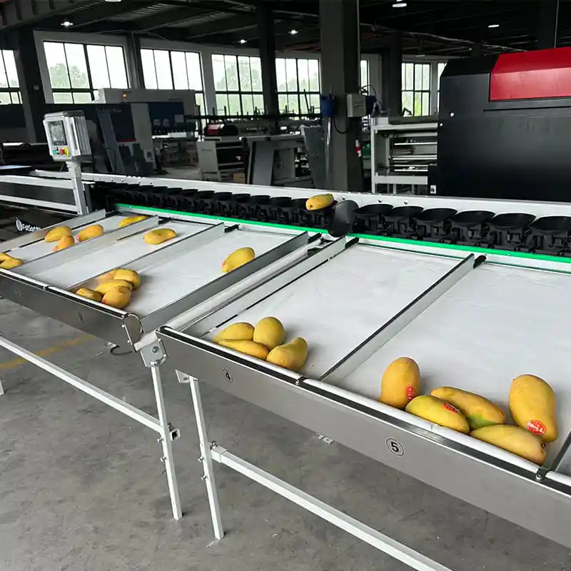 One lane weight sorting machine